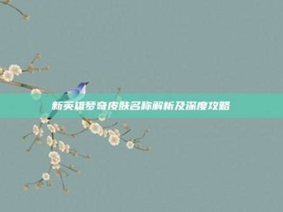 新英雄梦奇皮肤名称解析及深度攻略