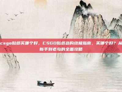 csgo贴纸买哪个好，CSGO贴纸选购终极指南，买哪个好？从新手到老鸟的全面攻略