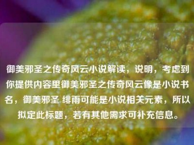 御美邪圣之传奇风云小说解读，说明，考虑到你提供内容里御美邪圣之传奇风云像是小说书名，御美邪圣 绯雨可能是小说相关元素，所以拟定此标题，若有其他需求可补充信息。