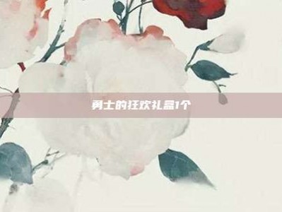 勇士的狂欢礼盒1个