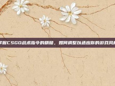 掌握CSGO战术指令的精髓，如何调整以适应你的游戏风格