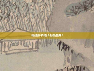 斩魂影子转什么职业好？