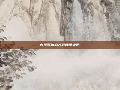 火拼双扣浪人算牌器攻略