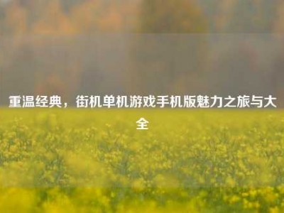 重温经典，街机单机游戏手机版魅力之旅与大全