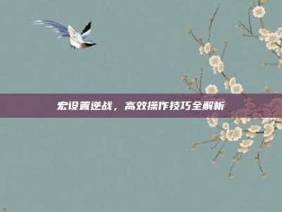 宏设置逆战，高效操作技巧全解析