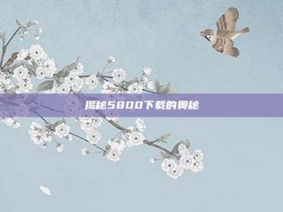 揭秘5800下载的奥秘
