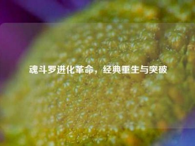 魂斗罗进化革命，经典重生与突破