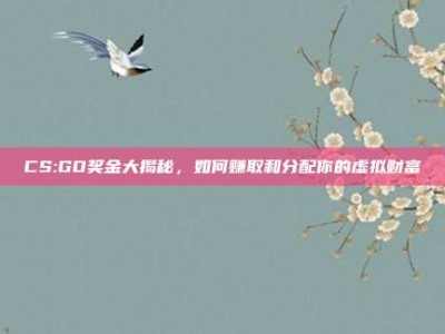 CS:GO奖金大揭秘，如何赚取和分配你的虚拟财富
