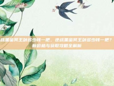 逆战黑金冥王剑多少钱一把，逆战黑金冥王剑多少钱一把？最新价格与获取攻略全解析