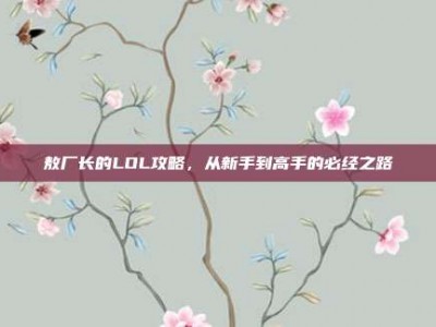 敖厂长的LOL攻略，从新手到高手的必经之路