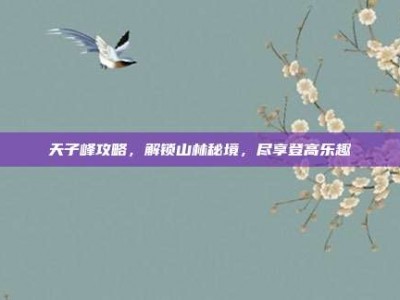 天子峰攻略，解锁山林秘境，尽享登高乐趣