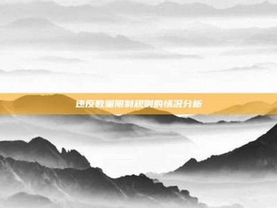 违反数量限制规则的情况分析