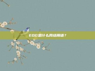 EDG是什么网络用语？