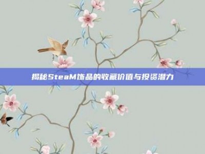 揭秘SteaM饰品的收藏价值与投资潜力