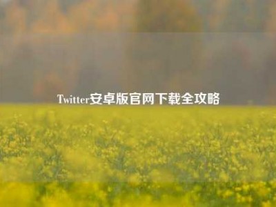 Twitter安卓版官网下载全攻略