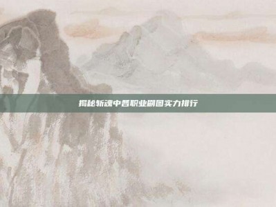 揭秘斩魂中各职业刷图实力排行