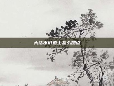 大话水浒道士怎么加点