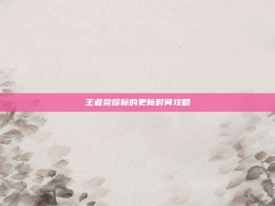 王者荣耀标的更新时间攻略
