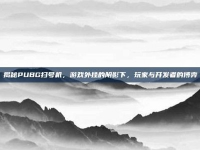 揭秘PUBG扫号机，游戏外挂的阴影下，玩家与开发者的博弈