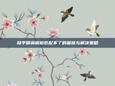 和平精英钢枪匹配不了的困扰与解决策略
