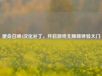使命召唤4汉化补丁，开启游戏无障碍体验大门