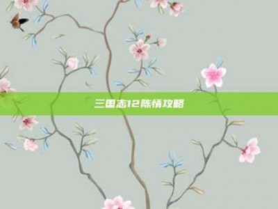 三国志12陈情攻略