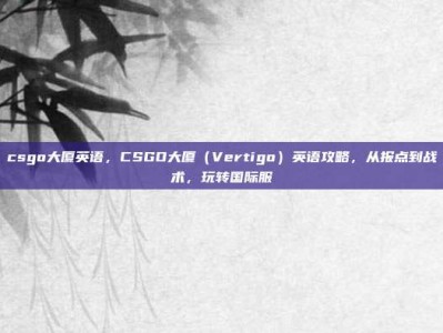 csgo大厦英语，CSGO大厦（Vertigo）英语攻略，从报点到战术，玩转国际服
