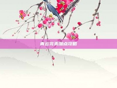 青云完美加点攻略