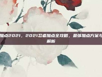 忍者加点2021，2021忍者加点全攻略，最强加点方案与实战解析