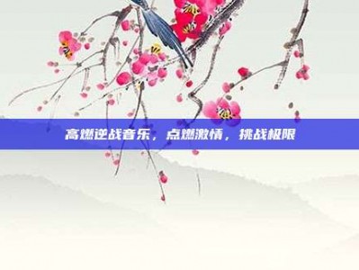 高燃逆战音乐，点燃激情，挑战极限