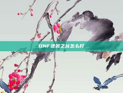 DNF逆袭之谷怎么打