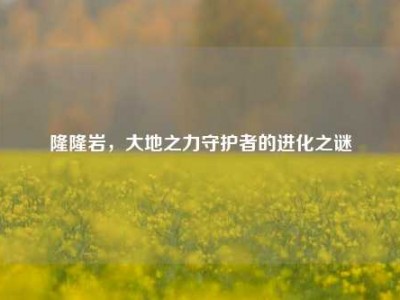 隆隆岩，大地之力守护者的进化之谜