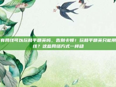 只有网线可以玩和平精英吗，告别卡顿！玩和平精英只能用网线？这些网络方式一样稳