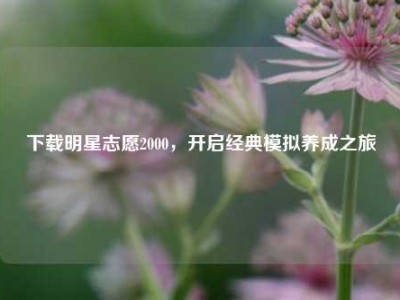 下载明星志愿2000，开启经典模拟养成之旅