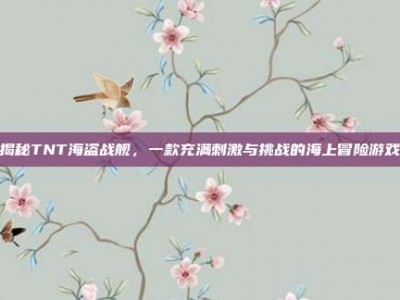 揭秘TNT海盗战舰，一款充满刺激与挑战的海上冒险游戏