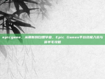 epicgame，从萌新到白嫖毕业，Epic Games平台终极入坑与薅羊毛攻略