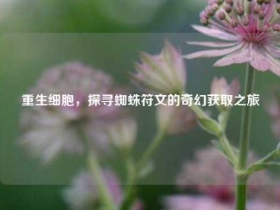 重生细胞，探寻蜘蛛符文的奇幻获取之旅