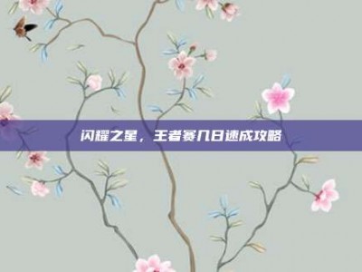 闪耀之星，王者赛几日速成攻略