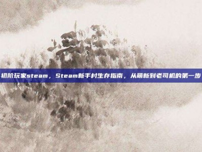 初阶玩家steam，Steam新手村生存指南，从萌新到老司机的第一步