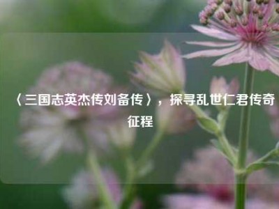 〈三国志英杰传刘备传〉，探寻乱世仁君传奇征程