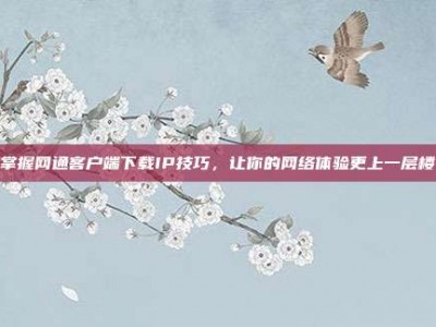 掌握网通客户端下载IP技巧，让你的网络体验更上一层楼