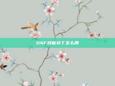 DNF技能补丁怎么用