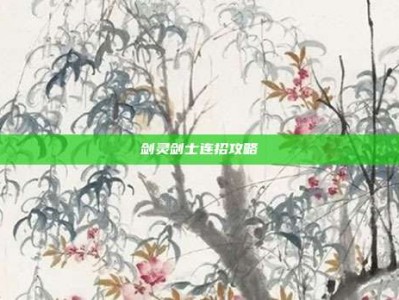 剑灵剑士连招攻略