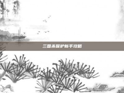 三国杀保护新手攻略