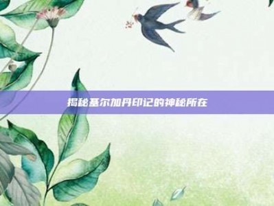 揭秘基尔加丹印记的神秘所在