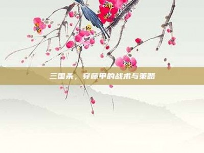 三国杀，穿藤甲的战术与策略