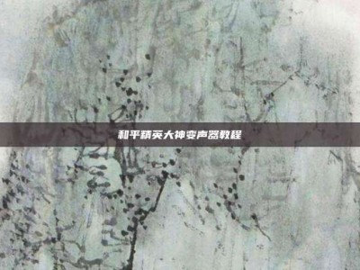 和平精英大神变声器教程