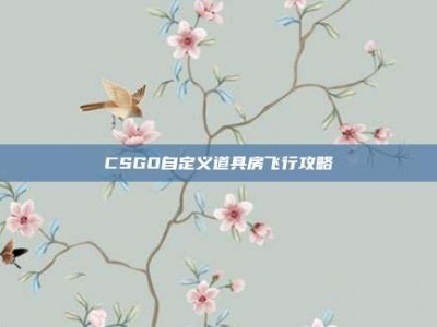 CSGO自定义道具房飞行攻略