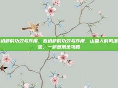 春根藤的功效与作用，春根藤的功效与作用，山里人的风湿克星，一藤多用全攻略