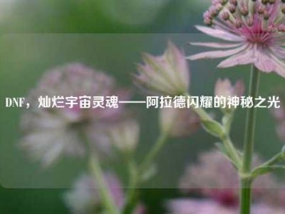 DNF，灿烂宇宙灵魂——阿拉德闪耀的神秘之光